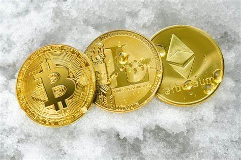 Floki launches massive marketing campaign with CoinGecko to promote Floki Trading Bot - Cointelegraph