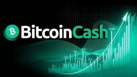 Bitcoin Cash up 21% – Will BCH’s surge hold or fade at $400? - AMBCrypto News
