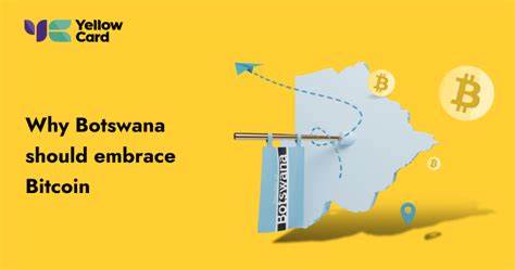 Batswana skeptical of Bitcoin - Mmegi Online