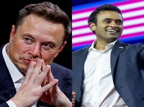 When DOGE tsars go tilting at windmills - The New Indian Express
