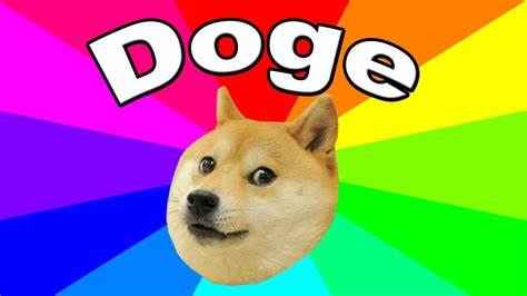 DOGE Becomes Official: What to Know