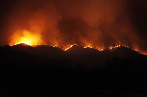 Waldbrände in Portugal: Feuer "nah an der Stadt" – Reisende berichtet aus Porto