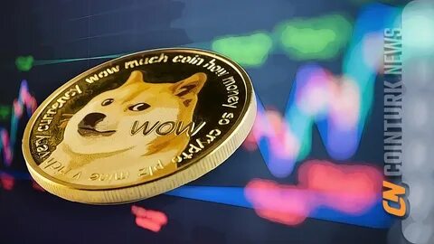 Dogecoin News: Why Is Dogecoin Price Down Today? Memecoin Market Faces Heavy Selling Pressure - Binance