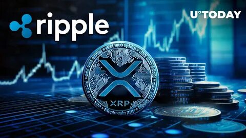 XRP Ledger Processed $3B in Trades in 2024, But Omni CTO Expects 1,000x Surge with Bank Adoption - The Crypto Basic