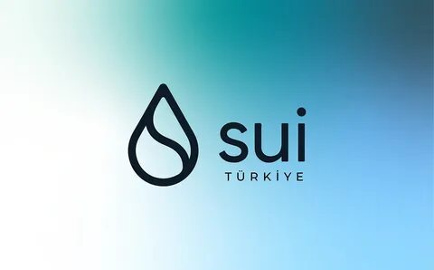 Sui Network To Unlock $54 Million Tokens, Here’s Likely Impact On SUI - The Coin Republic