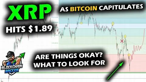 Best Altcoins To Buy Today As Crypto Markets Crash – What Are Whales Buying?