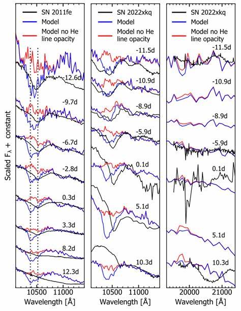 Unburnt Clues: Spectral Signs of a Double Detonation