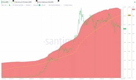 Number of XRP holders almost doubled within six months, overtaking Solana