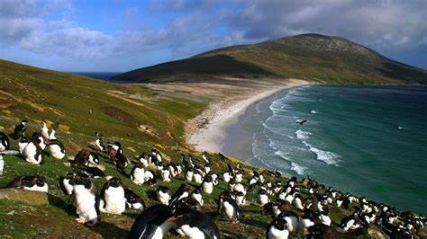 Îles Malouines : Préparez votre voyage - Enroutes