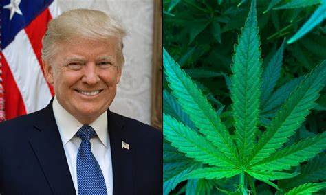 Donald Trump pledges to free Ross Ulbricht, stop CBDCs, and support self custody in speech to Libertarian Convention - The Block