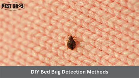 Ask HN: Using the TruffleBot to detect bed bugs