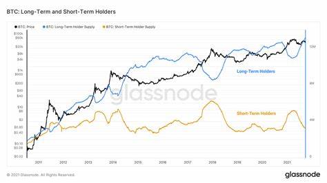 Glassnode: Current Bitcoin Bull Run Mirrors 2015–2018 Cycle, Suggesting Further Upside - The Crypto Basic