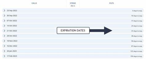 Expiration Date Basics for Options - Investopedia