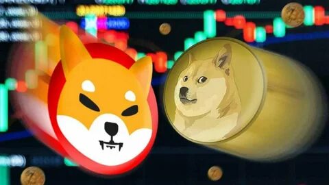 Why Investing $100 into this Multi-Chain Meme Coin Could Profit You Millions: Is Crypto All-Stars The Next Shiba Inu Coin? - - Disrupt Africa