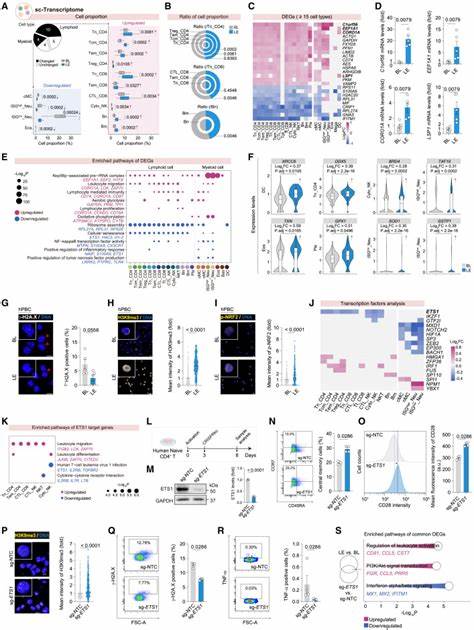 Systematic profiling reveals betaine as an exercise mimetic for geroprotection
