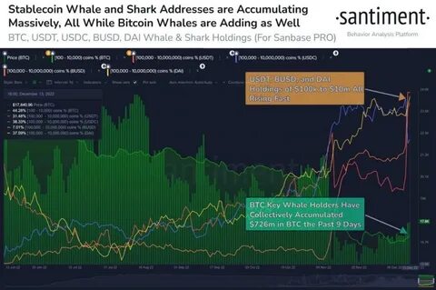 Large BTC entity transfers over $100 million worth of Crypto - Nairametrics