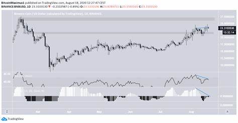 BNB Price Struggles to Hold $500: Is a Breakout Coming? - NewsBTC