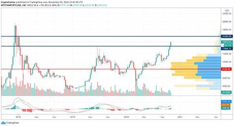 BTC Price In USD | Investing In Bitcoin Discussed By Traders Union - Business Post Nigeria