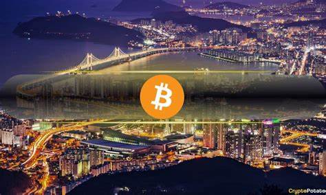 Bitcoin Recognized as Divisible Property in South Korean Divorces - CryptoPotato