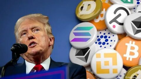 WITHpod: Crypto in Trump 2.0 with Zeke Faux - MSNBC News