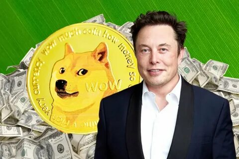 If You Invested $1,000 In Dogecoin When Mark Cuban And The Dallas Mavericks Welcomed The Meme Crypto, Here's How Much You'd Have Now - Benzinga