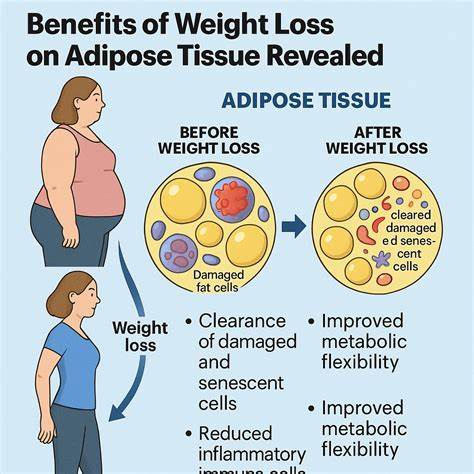 Benefits of weight loss on fat tissue