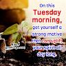 Soybeans Weaker on Tuesday Morning