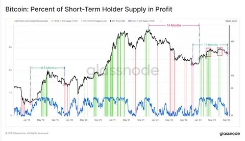 Investor confidence erodes while Bitcoin reaches distribution phase, Glassnode reports - Passionategeekz