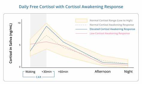 A business fueled by cortisol can take off fast, but it won't fly for long