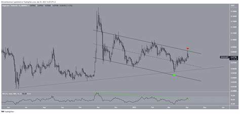 Dogecoin (DOGE) Price Eyes 95% Jump As Analysts Remain Bullish - CoinChapter