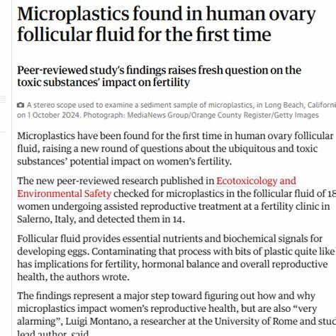 Microplastics discovered in human semen and follicular fluid in new research