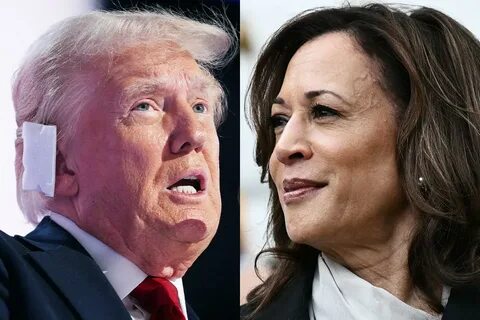 Kamala Harris beats Trump in all polls – except the crypto industry’s - Cryptopolitan