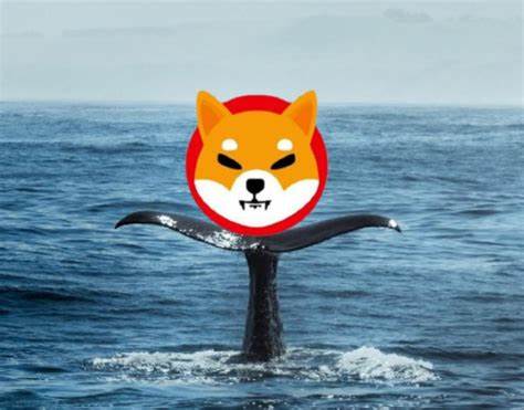 Early Bitcoin Whale Who Bought Shiba Inu In 2020 And Sold During 2021 Peak For $44,000,000 Buys Into WallitIQ (WLTQ) Presale - Analytics Insight