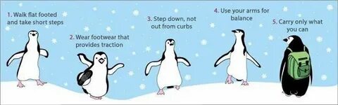 Don't Steal a Penguin – A Guide to Rails Flashes