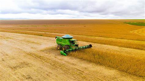 Soybeans Fall on Tuesday