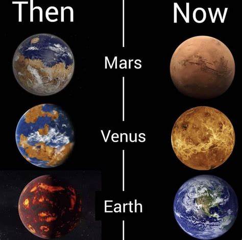 Four Billion Years of Vibecoding