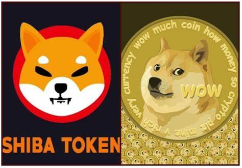 Shiba Inu vs Dogecoin: Which one will survive the crypto crash? - Marca English