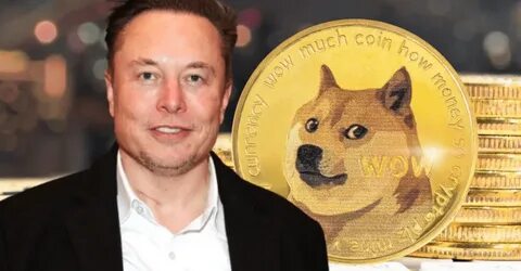 Dogecoin Hero Elon Musk Just Crashed Another Meme Coin—Here's How - Decrypt