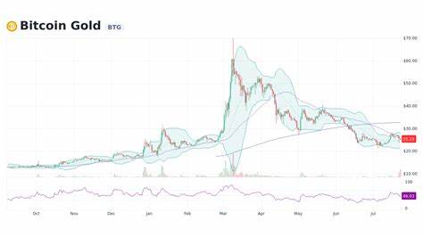 Bitcoin Gold (BTG) Live Price Chart