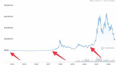 The Crypto Hype Cycle Explained - Inc