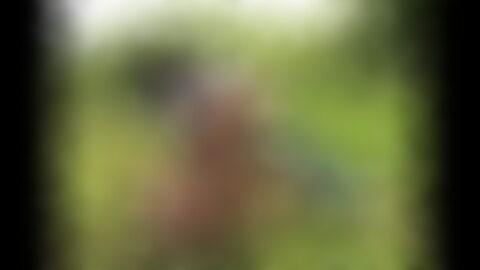 Streaming Porno - Vidéo XXX Extreme et Porno VIOLENT - TuKif