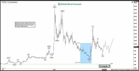 Bit Digital Makes Waves at MYRIAD Tides - Decrypt