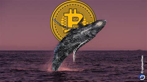Bybit Hack Aftermath: Single Whale Liquidated for $46M as BTC Dumps by $4K - CryptoPotato