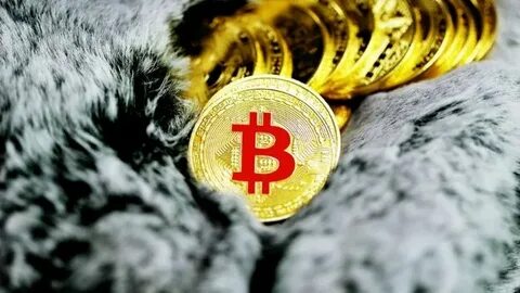 Australian Libertarian Party Unveils Bitcoin Reserve Plan: Will BTC Surge? - TradingView