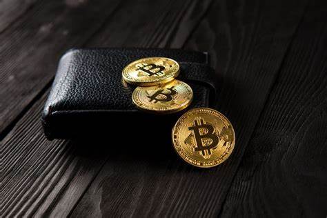 Old Wallet with 24 BTC Activated After More Than 10 Years - Crypto News Australia