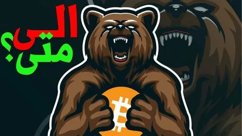 Crypto Bear Market Opportunities: Make the Most of a Crypto Downturn