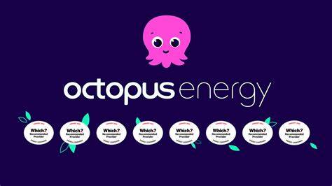 Octopus Energy launches first African renewable energy fund