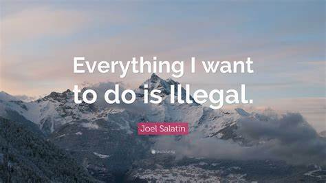 Everything I want to do is illegal [pdf]