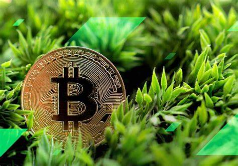 Can cryptocurrency go green? – DW – 02/24/2022