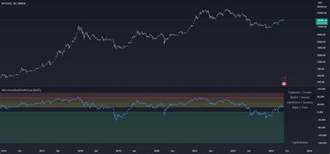Bitcoin Trader Unrealized Profit Margins At High Levels – Risk Of Correction? - TradingView